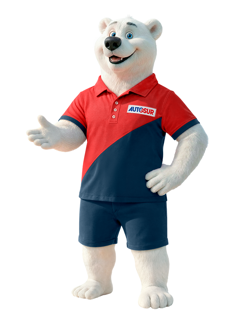 bear pointing