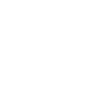 pdf icon